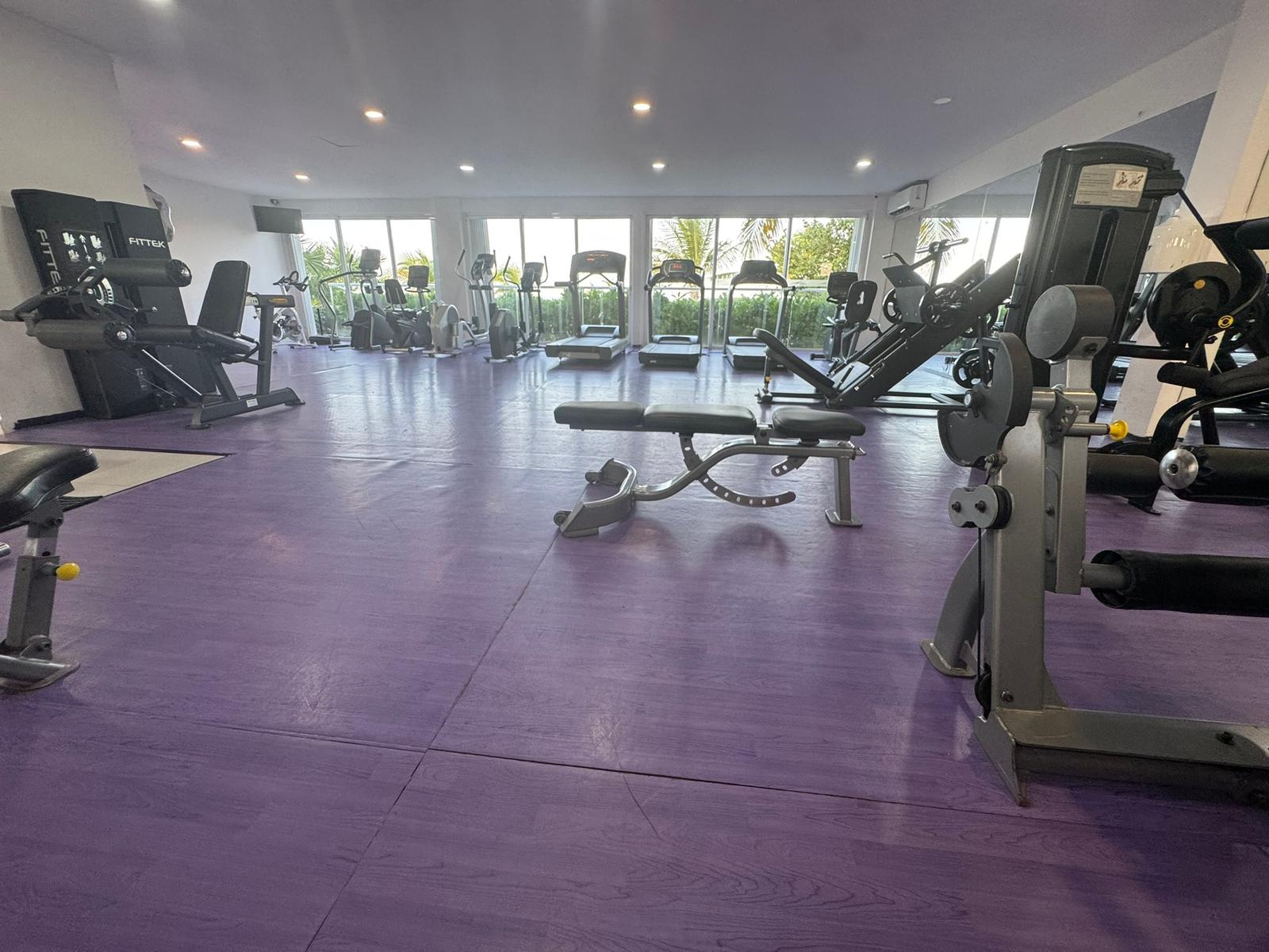 Gimnasio
